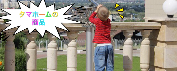 タマホームは全商品 自由設計 だから理想の家が建てられる Fpが教える おうち選び